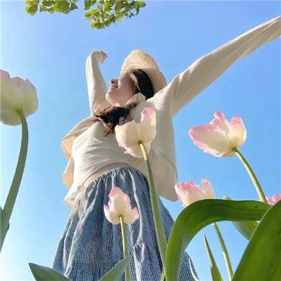 极品闺蜜2019粤语